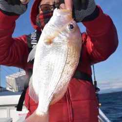 渡船屋たにぐち 釣果