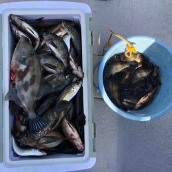 フィッシング　キッタカ 釣果