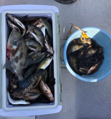 フィッシング　キッタカ 釣果