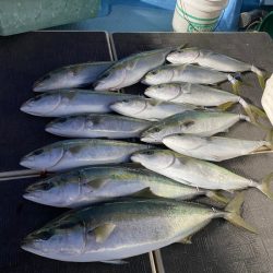 Monster Rush! 釣果