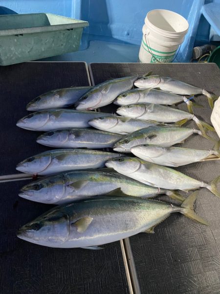 Monster Rush! 釣果