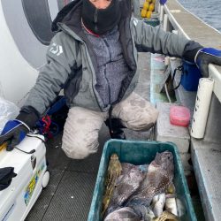 シーランチ 釣果