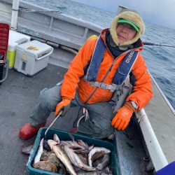 シーランチ 釣果