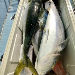 第二八坂丸 釣果