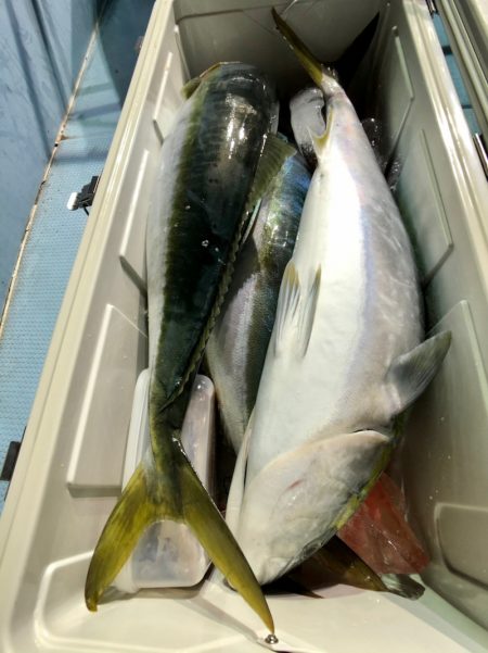 第二八坂丸 釣果