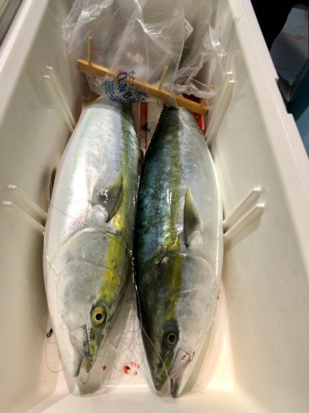 第二八坂丸 釣果