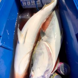 第二八坂丸 釣果