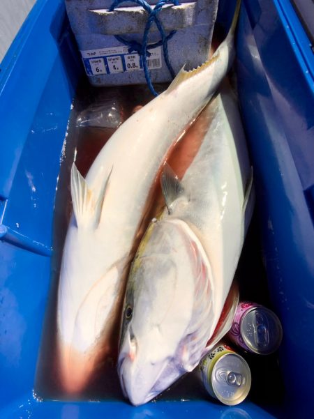 第二八坂丸 釣果