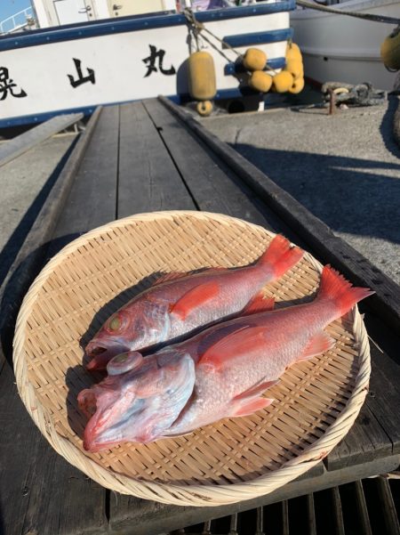 晃山丸 釣果