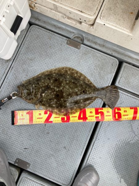 遊漁船高橋 釣果