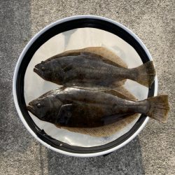 遊漁船高橋 釣果