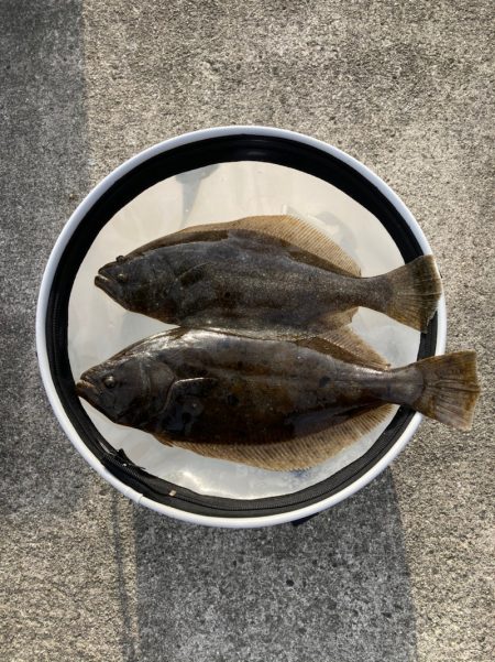 遊漁船高橋 釣果