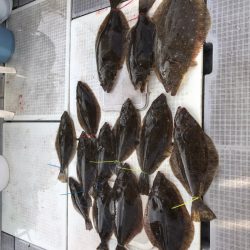 遊漁船メテオ 釣果