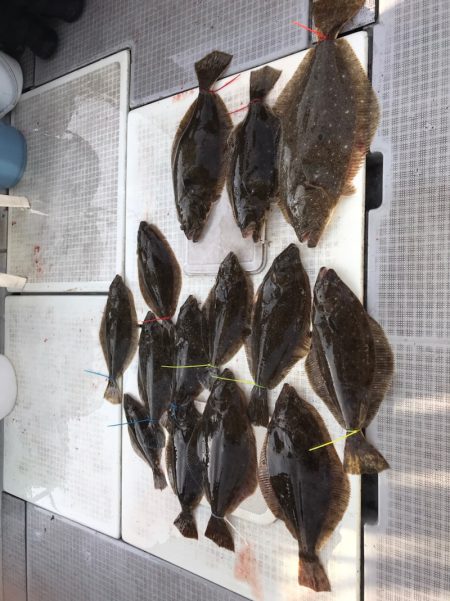 遊漁船メテオ 釣果