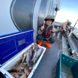シーランチ 釣果