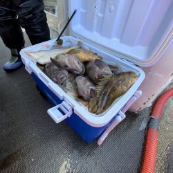 シーランチ 釣果