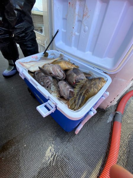 シーランチ 釣果