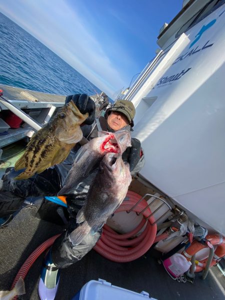 シーランチ 釣果