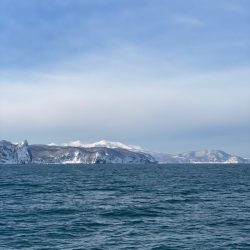 シーランチ 釣果