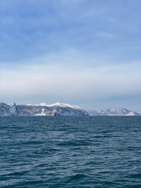 シーランチ 釣果