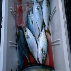 あみや渡船 JIGBOY 釣果