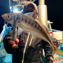 愛海丸 釣果