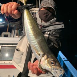 愛海丸 釣果