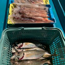 愛海丸 釣果