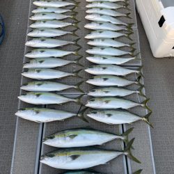 SeaRide(シーライド) 釣果