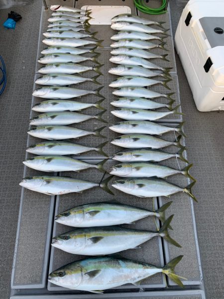 SeaRide(シーライド) 釣果