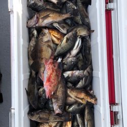 フィッシング　キッタカ 釣果