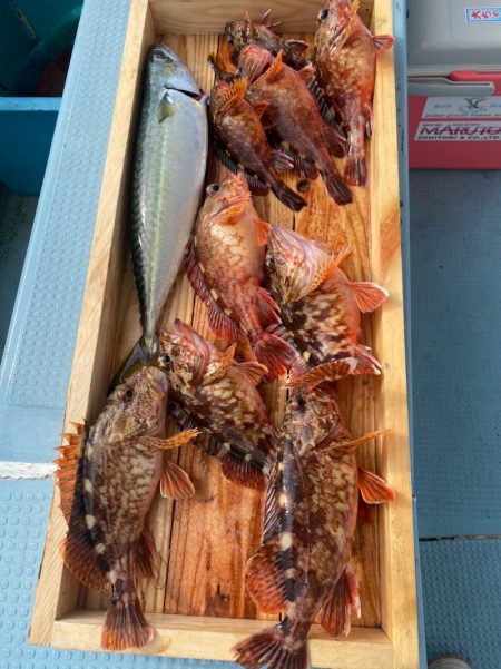 岡田釣船　八英丸 釣果