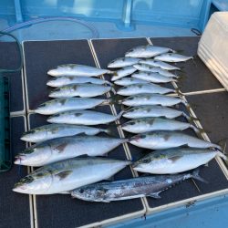 Monster Rush! 釣果