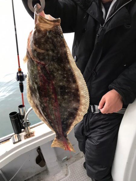 遊漁船メテオ 釣果