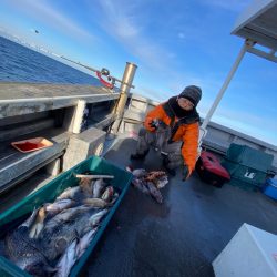 シーランチ 釣果