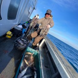 シーランチ 釣果