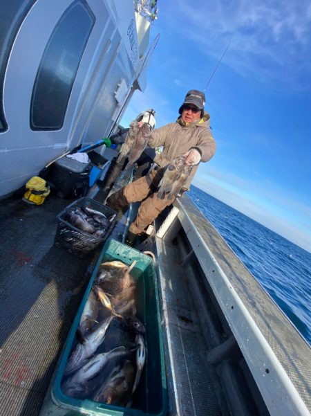 シーランチ 釣果