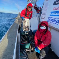 シーランチ 釣果