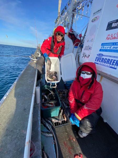 シーランチ 釣果