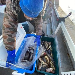 シーランチ 釣果