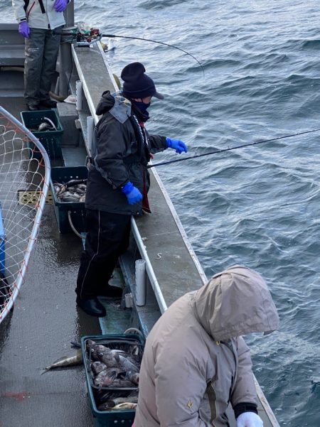 シーランチ 釣果