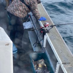 シーランチ 釣果