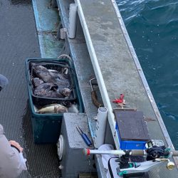 シーランチ 釣果