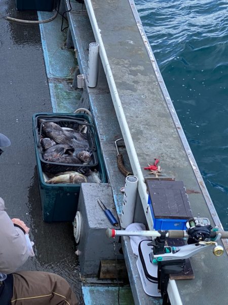 シーランチ 釣果