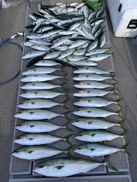 SeaRide(シーライド) 釣果