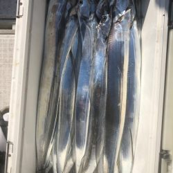 フィッシング　キッタカ 釣果