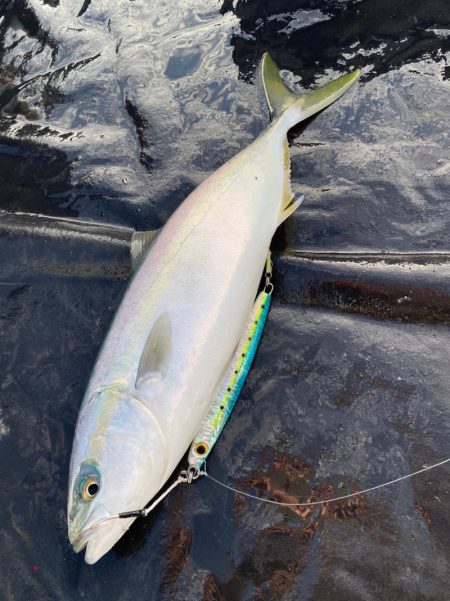 あみや渡船 JIGBOY 釣果