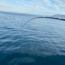 あみや渡船 JIGBOY 釣果