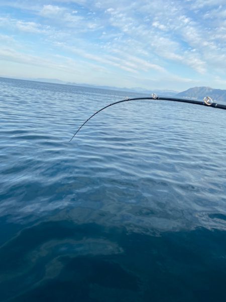 あみや渡船 JIGBOY 釣果