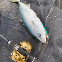 あみや渡船 JIGBOY 釣果